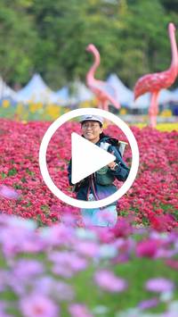 BIB:  <button type="button" onclick="openModal(27583253)" class="btn btn-primary btn-sm float-right" data-toggle="modal" data-target=".modal-high-quality">
                <i class="fa fa-download"></i> Download
                </button>